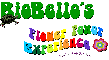 Biobello - Flower Power Experience